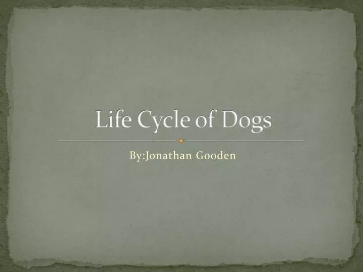 life cycle of dogs