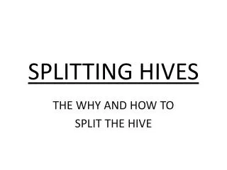 SPLITTING HIVES