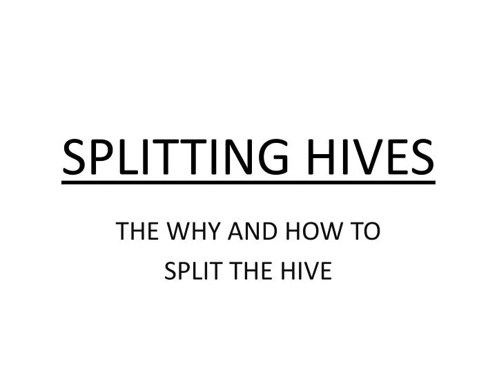 splitting hives