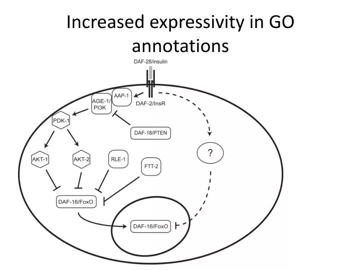 increased expressivity in go annotations