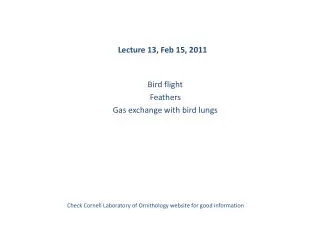 Lecture 13, Feb 15, 2011
