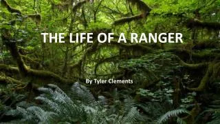 THE LIFE OF A RANGER