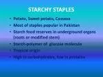 STARCHY STAPLES