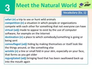 Vocabulary (Ex. 1)
