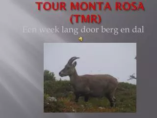 TOUR MONTA ROSA (TMR)