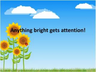 Anything bright gets attention!