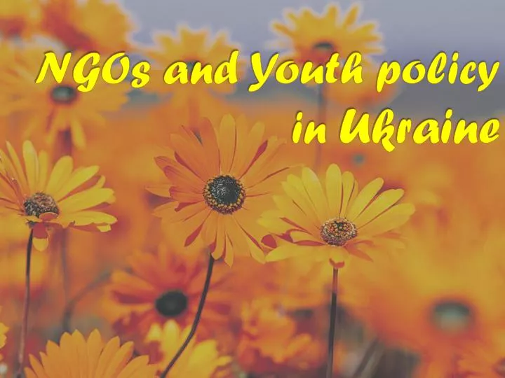 ngo s and youth policy in ukraine