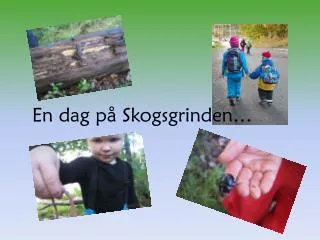 en dag p skogsgrinden