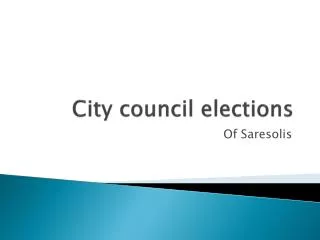 City council elections