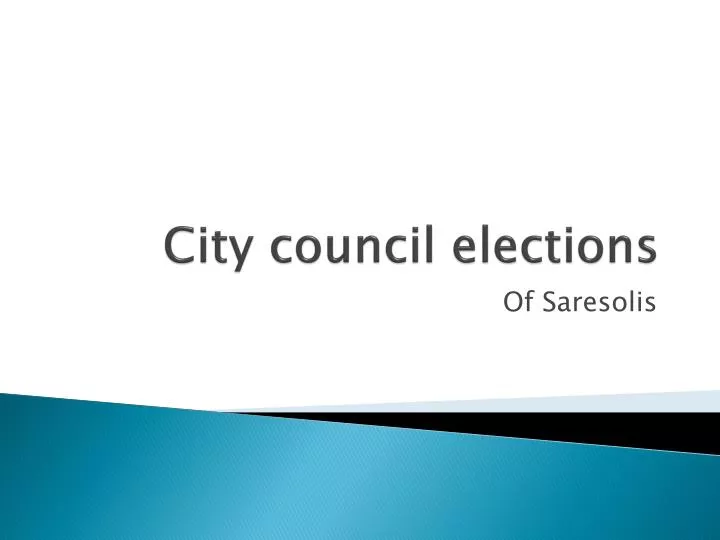 city council elections