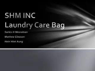 SHM INC Laundry Care Bag