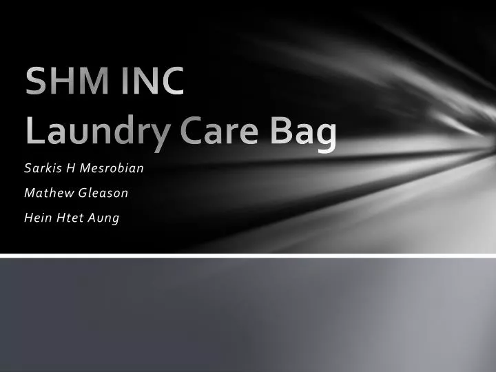 shm inc laundry care bag