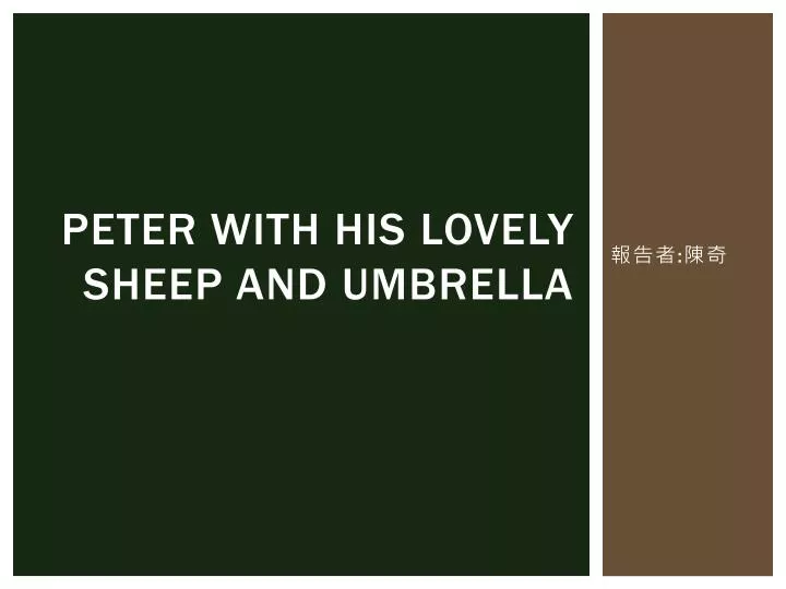 peter with his lovely sheep and umbrella