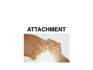 ATTACHMENT