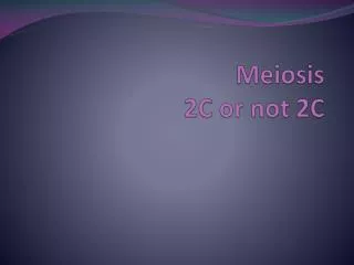 Meiosis 2C or not 2C