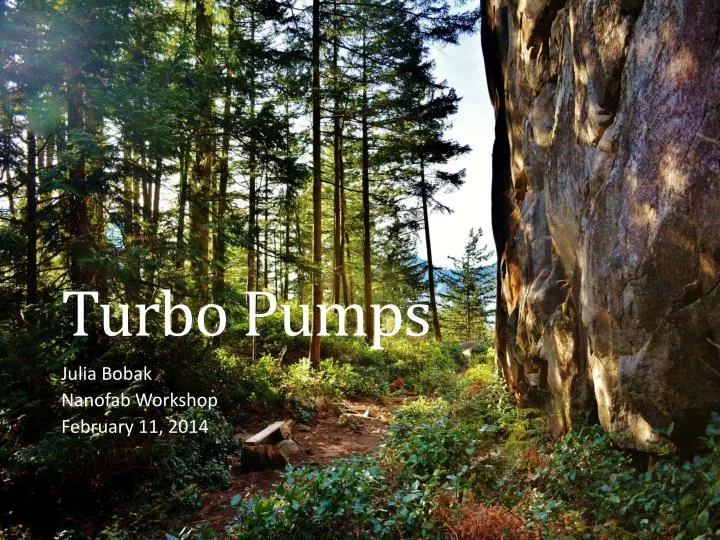turbo pumps