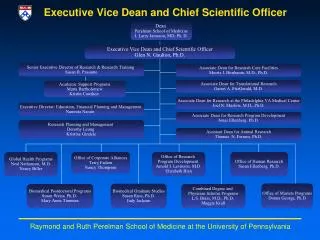 Executive Vice Dean and C h ief Scientific Officer