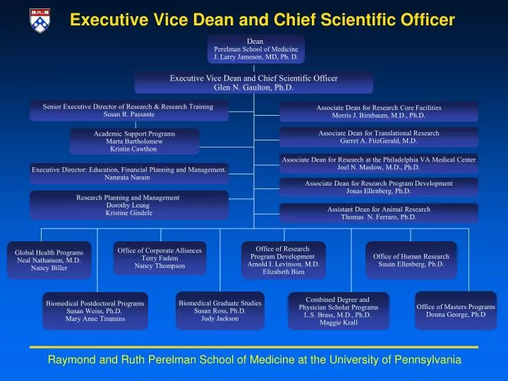 executive vice dean and c h ief scientific officer