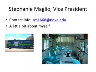 Stephanie Maglio , Vice President