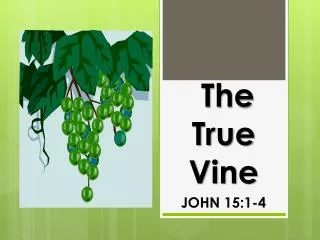 The True Vine