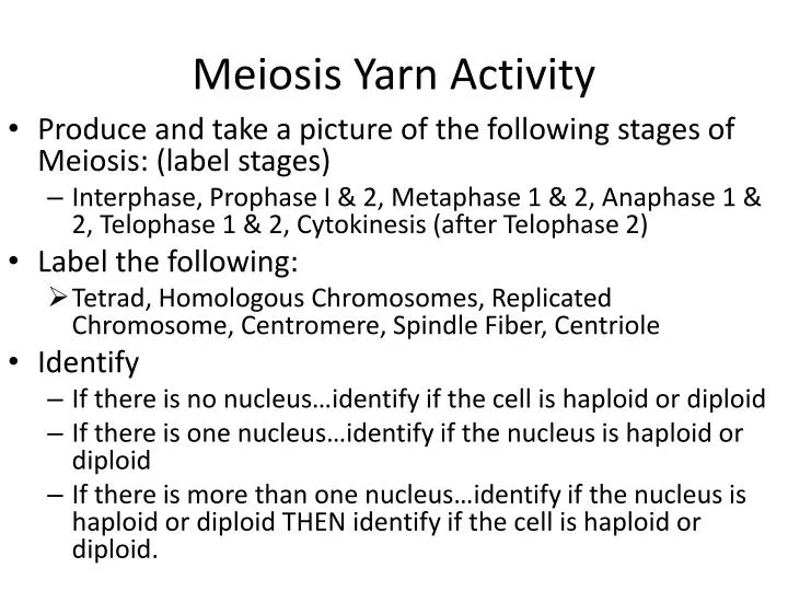 meiosis yarn activity