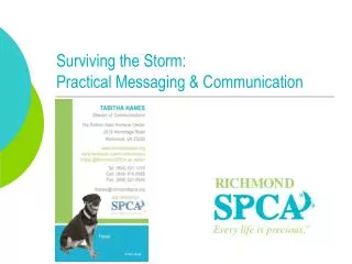 Surviving the Storm: Practical Messaging &amp; Communication