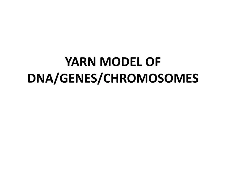 yarn model of dna genes chromosomes