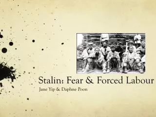 Stalin: Fear &amp; Forced Labour