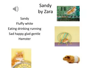 Sandy by Z ara