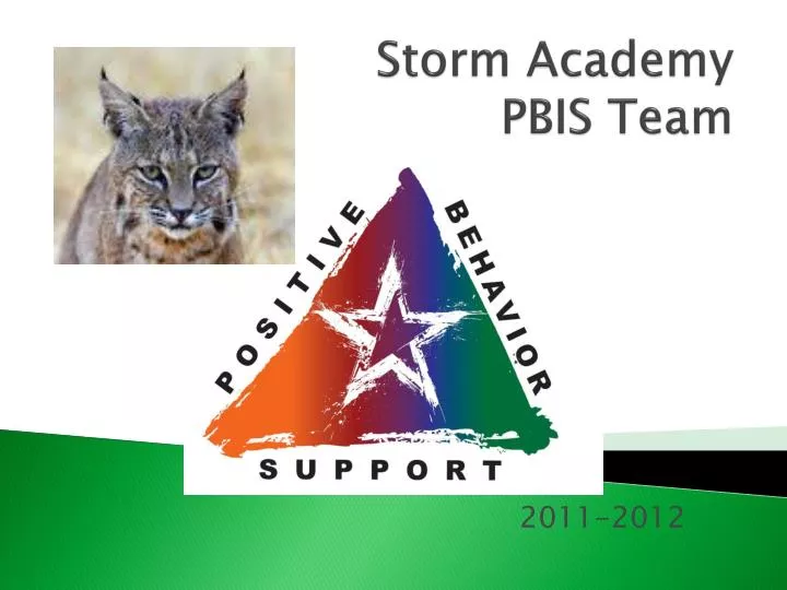 storm academy pbis team