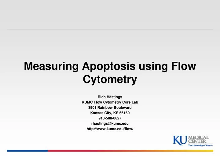 measuring apoptosis using flow cytometry