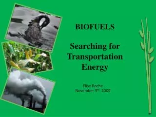 BIOFUELS Searching for Transportation Energy
