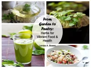 From Garden to Pantry: Herbs for Vibrant Food &amp; Health Larnies A. Bowen