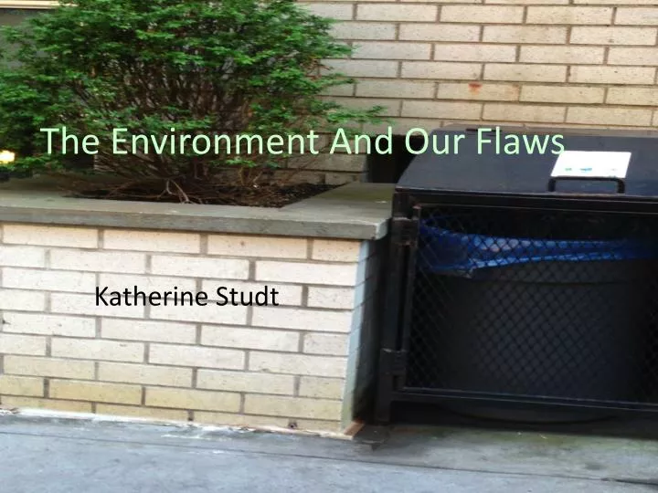 the environment and our flaws