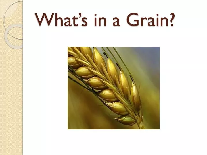 what s in a grain