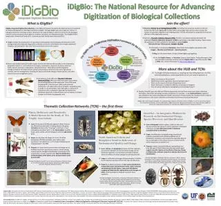 iDigBio : The National Resource for Advancing Digitization of Biological Collections
