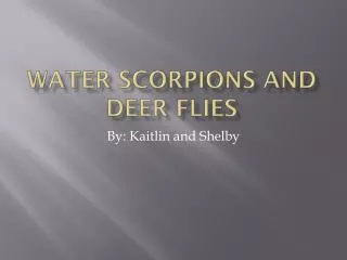 Water Scorpions and Deer Flies