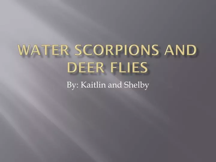 water scorpions and deer flies