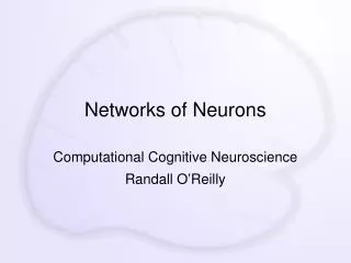 Networks of Neurons
