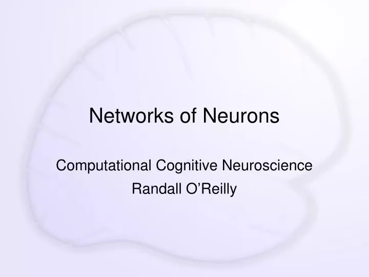networks of neurons