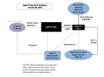 Setting Up Apple TV (2013): iCloud, Bluetooth, and HDMI Connections Explained - slide 1
