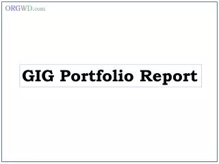 GIG Portfolio Report