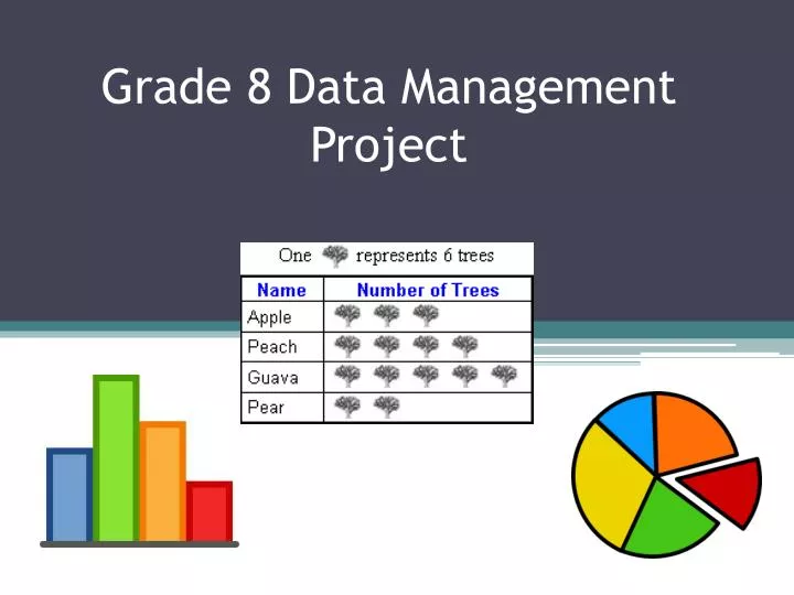 grade 8 data management project