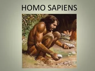 homo sapiens