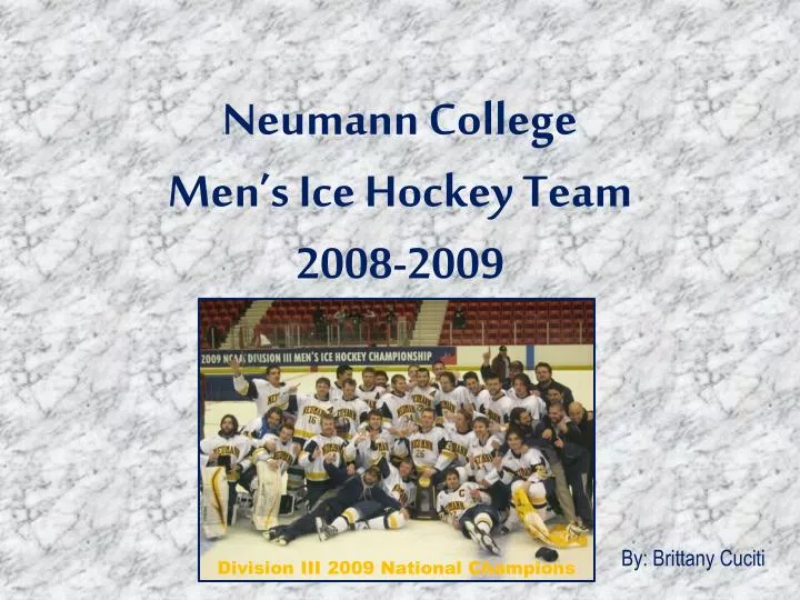 neumann college men s ice hockey team 2008 2009