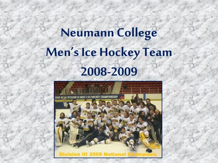 neumann college men s ice hockey team 2008 2009