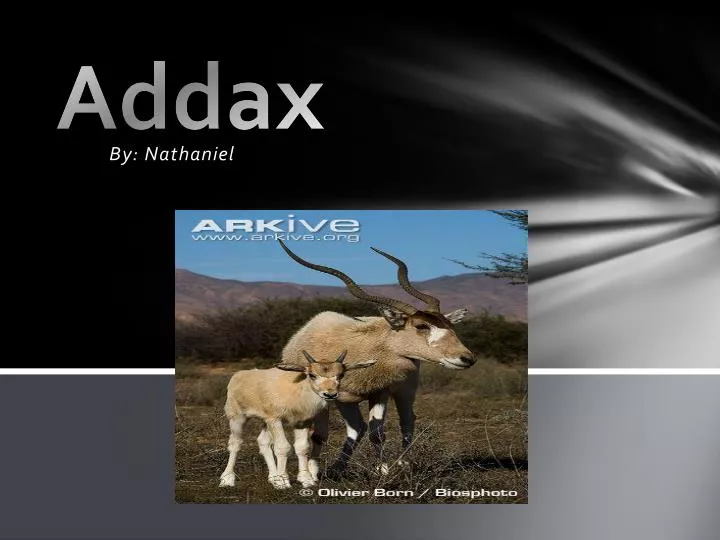 addax