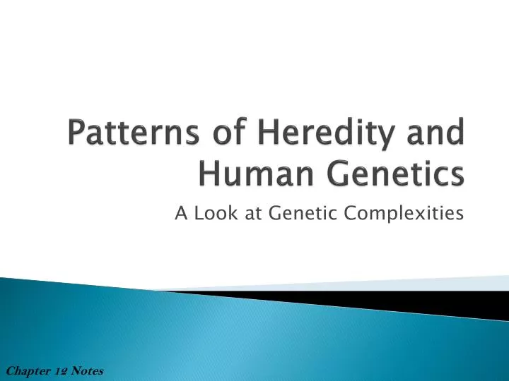 patterns of heredity and human genetics