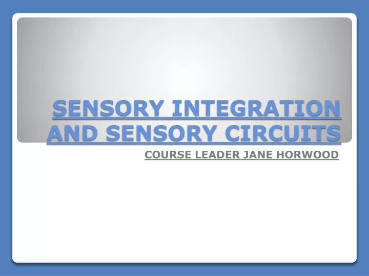 sensory integration and sensory circuits