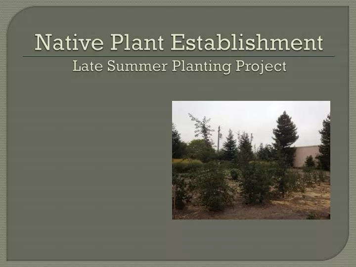 native plant establishment late summer planting project